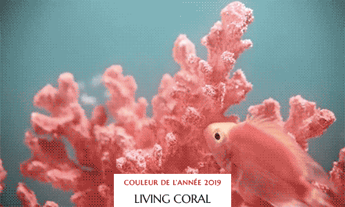 Corail - Pantone - blog Luciole